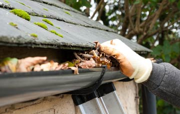 gutter cleaning Thorley Street