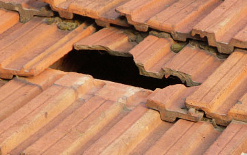 roof repair Thorley Street