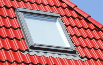 roof windows Thorley Street